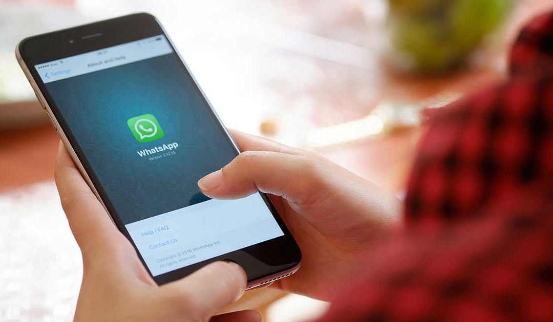 A WhatsApp Scammer Targeted My Mom — The Story of Privacy Reformation